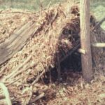 Emergency-shelter-training-structure-OPT-scale