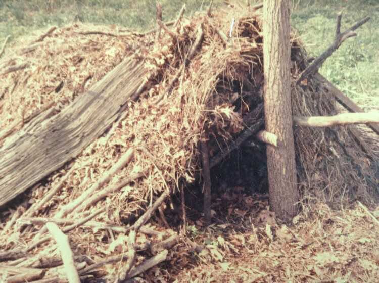 rough tent-shaped shelter made of tree poles, bark, and straw