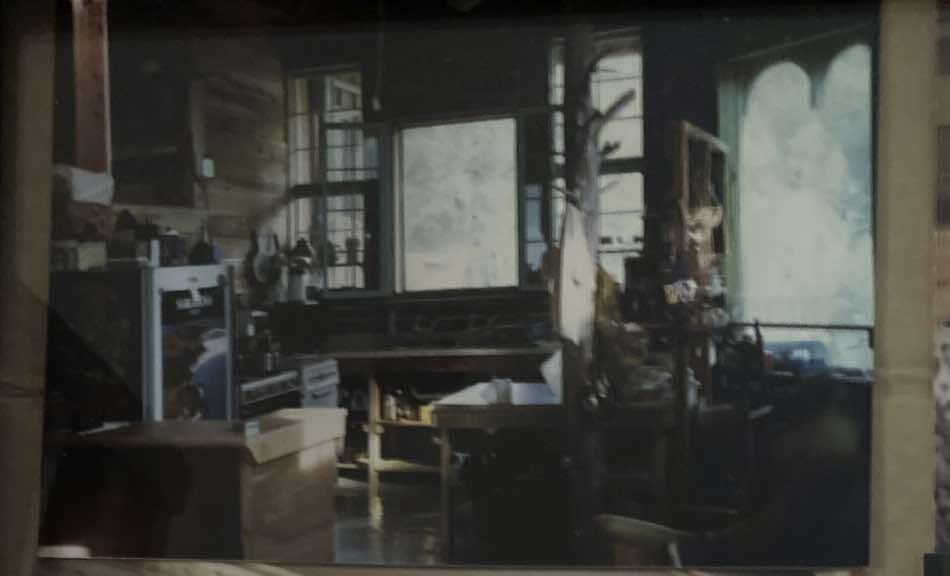 Kitchen with large windows in Merril Mushrooms home