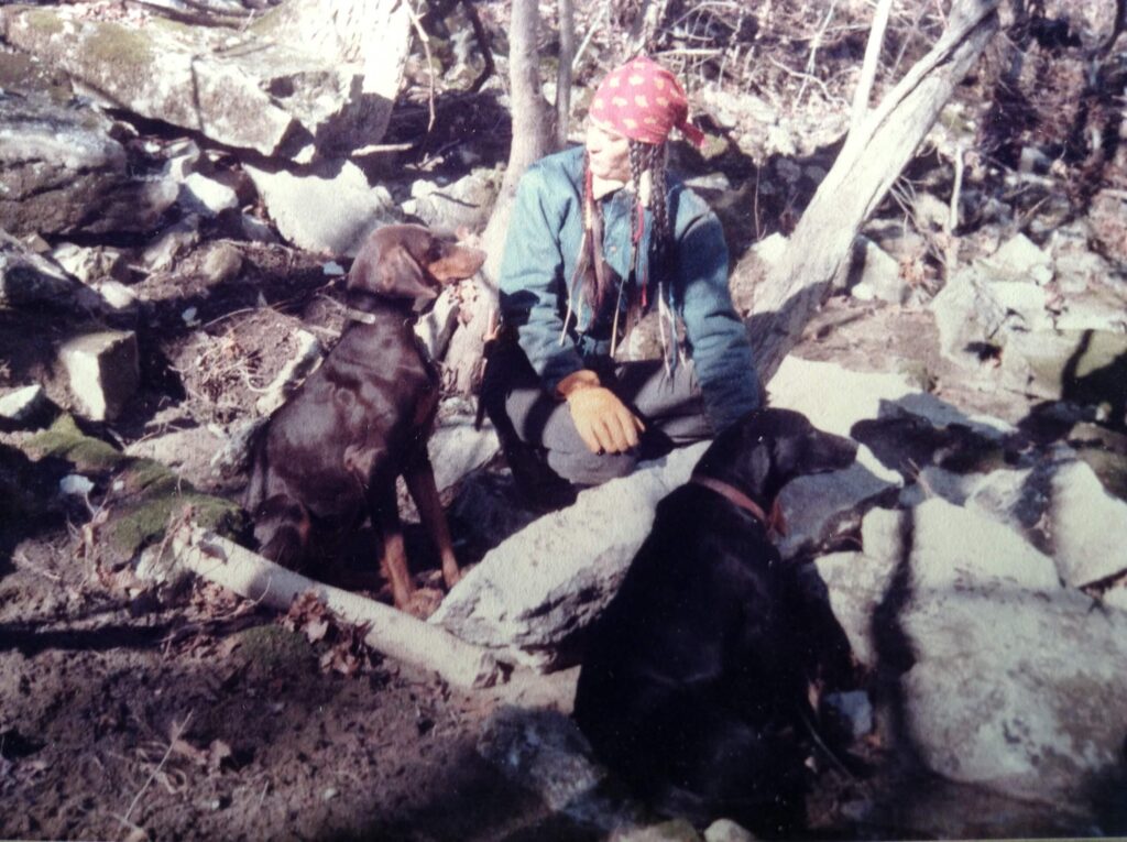 SunHawk sitting on a rock in the forest with two dogs