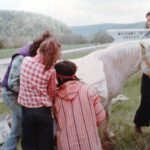 Shiner-Jennifer-SH-Buffy-loading-our-pony-Blanca-OPT