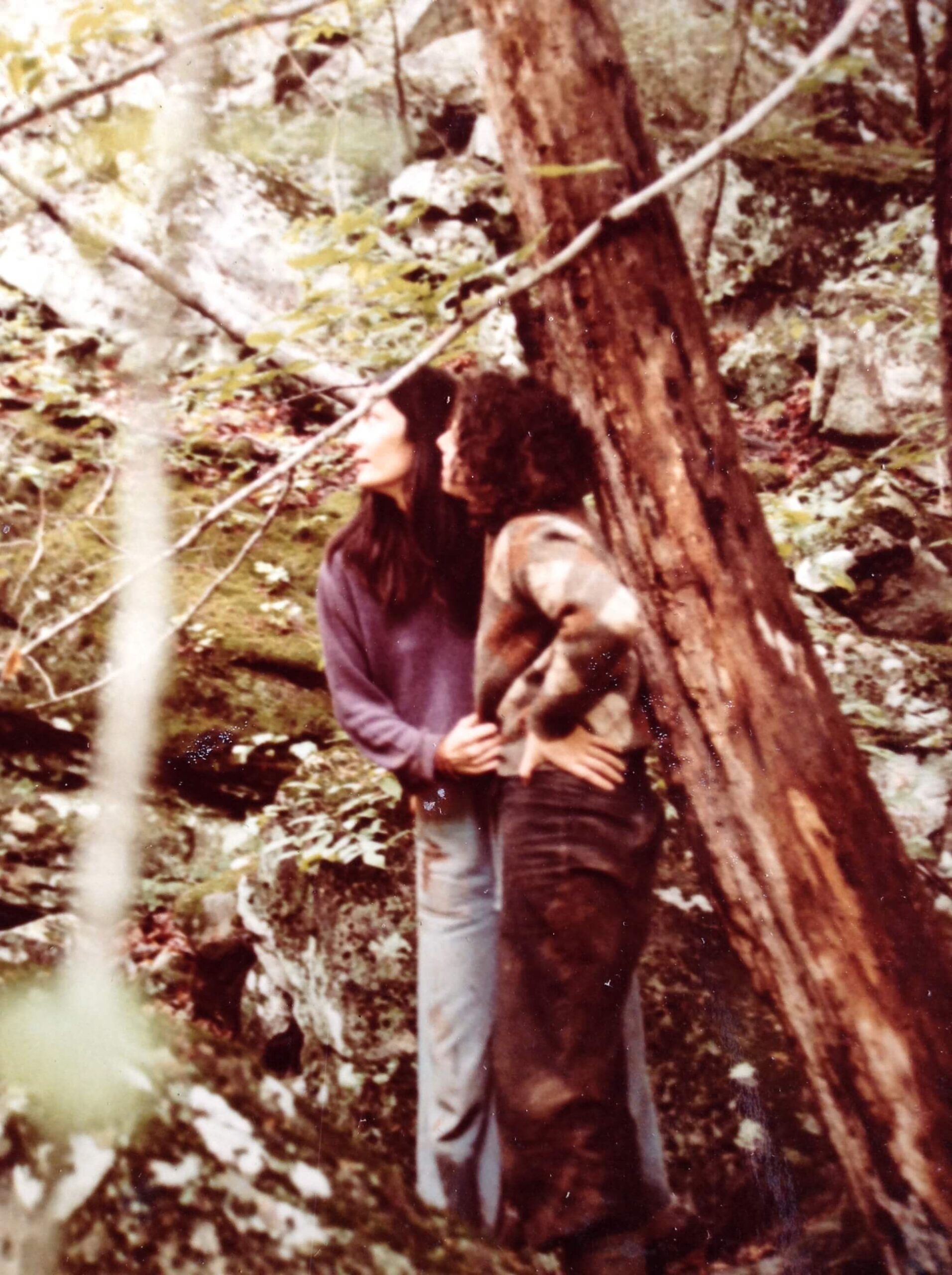 sunhawk and shiner standing in forest